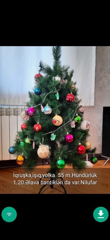 Yeni il ağacları: Yolkalar şaxda baba sekillerde qiymət məlumat qeyd olunub unvan Gence -da lalafo.az — 17 Yeni il ağacları: Yolkalar şaxda baba sekillerde qiymət məlumat qeyd olunub unvan Gence — 17