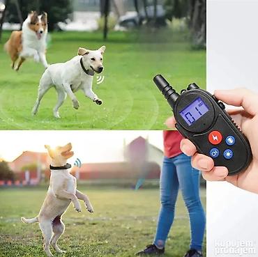 cani corso: Valkie Talkie elektronska ogrlica za dresuru pasa – 1000m 🐾 — 1