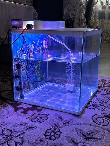 Dördbucaq akvarium, Boş, 77 l, Ünvandan götürmə