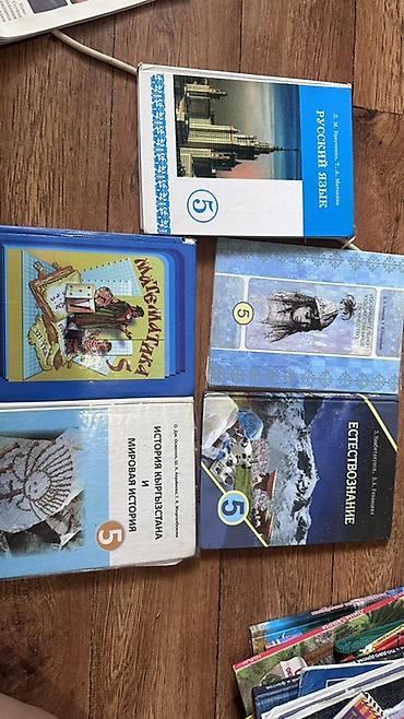 Комплект учебников для 5 класса: - Русский язык (Д. М. Русский, Т. А
