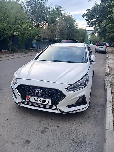sonata: Hyundai Sonata: 2020 г., 2 л, Автомат, Седан — 1