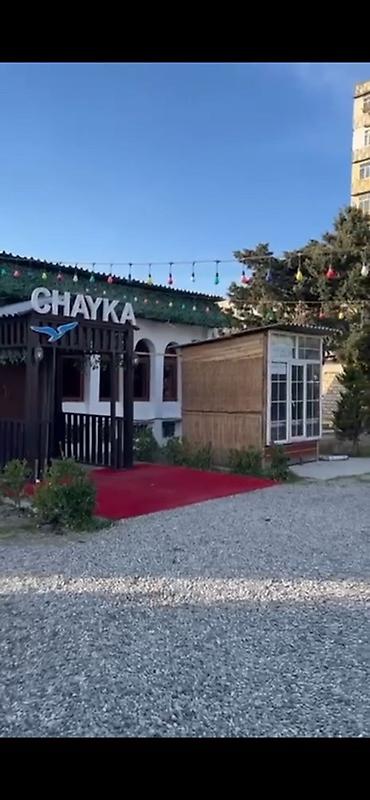 velosiped kirayə: CHAYKA – açıq hava restoran və məkan - Rahat həyət konsepti: girişdə — 2