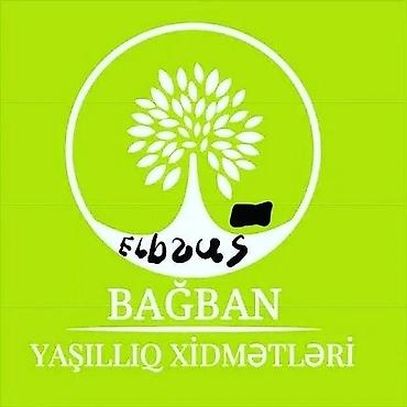 malyar isleri: Bağban Yaşıllıq Xidmətləri – landşaft dizaynı və yaşıllaşdırma — 2