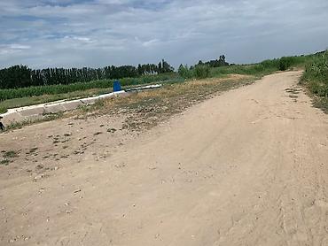Кыймылсыз мүлк: 130 соток, Айыл чарба үчүн — 2