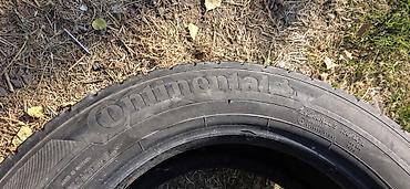 7.00 12 шина: Грузовые шины Continental Conti EcoPlus HD3 - Размер: 295/60 R22.5 - — 5