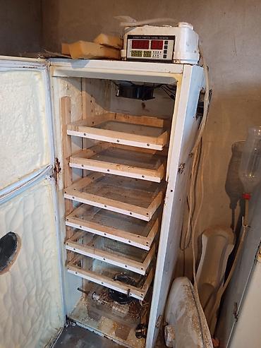 İnkubatorlar: Bütün növ quşlaq üçün — 3