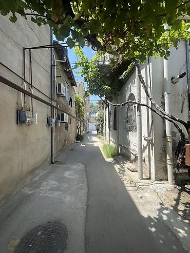 Həyət evləri və villalar: 2 otaqlı, 30 kv. m — 3