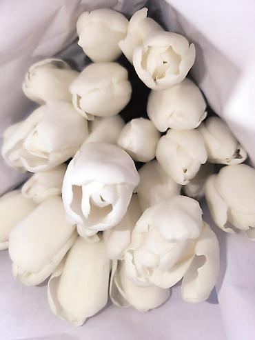 Букеты из живых цветов: Розы и тюльпаны к 8 Марта - Срезанные свежие розы в ассортименте — 8