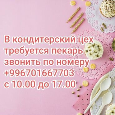 вакансии тазалык бишкек: Башка адистиктер