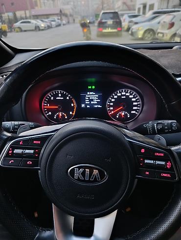 Kia: Kia Sportage: 2019 г., 2 л, Автомат, Дизель, Кроссовер — 6
