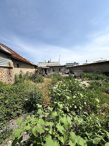срочное: 📌В селе Беловодское срочно продаётся дом под бизнес на участке 7,5 — 3