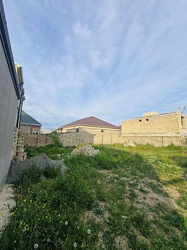 əmlak satışı: 4 sot, Tikinti, Mülkiyyətçi, Bələdiyyə — 5