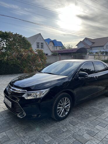 продаю жига: Toyota Camry: 2015 г., 2.5 л, Вариатор, Бензин