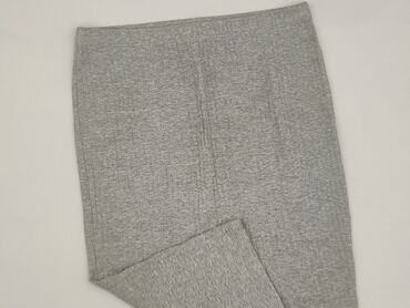 srebrne spódnice ołówkowe: Women`s skirt, size S (EU 36)