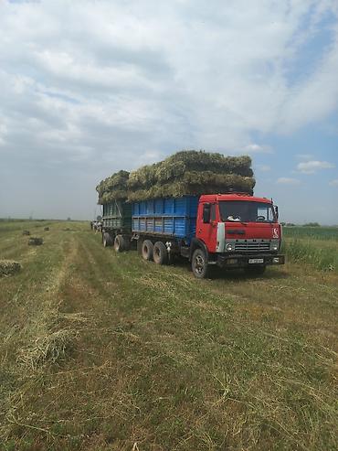 шакман х5000: Продаю камазы савок 2я рама горный тормоза редуктора 50 турбина шахман — 5