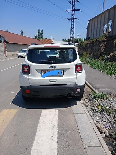 highlander platinum: Jeep Renegade: 2019 г., Кроссовер — 5