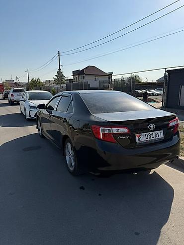 camry 55 exclusive: Toyota Camry: 2014 г., 2.5 л, Автомат, Бензин, Седан — 6