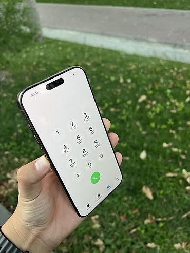 iphone 6c: IPhone 16 Pro Max, цвет Gold Память 256,89% в идеальном — 8