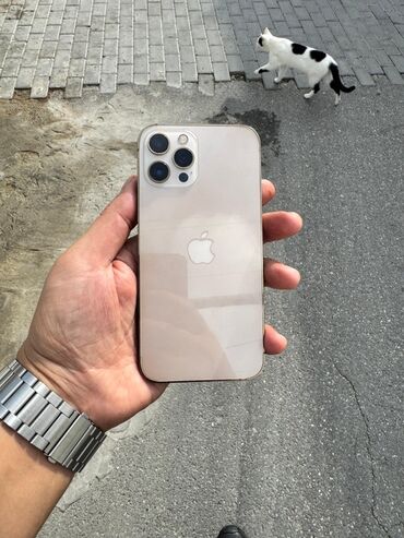 iphone 11 yeni: IPhone 12 Pro Max, 256 GB, Qızılı, Face ID