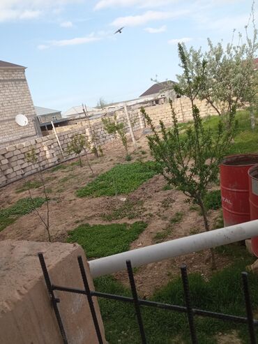 Bağ evlərinin satışı: Zeynalabdin Tağıyev, 120 kv. m, 4 otaqlı, Hovuzsuz, Qaz, İşıq, Su -da lalafo.az — 13 Bağ evlərinin satışı: Zeynalabdin Tağıyev, 120 kv. m, 4 otaqlı, Hovuzsuz, Qaz, İşıq, Su — 13