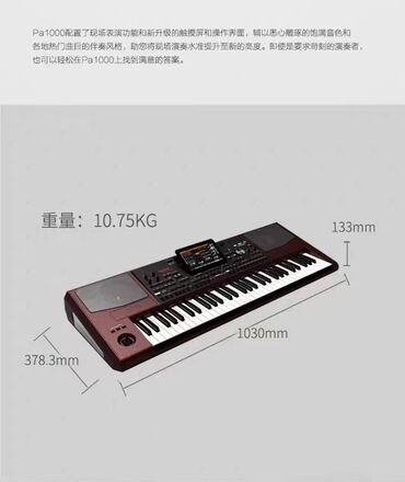 синтезатор музыкальный инструмент купить: Korg Pa1000 — профессиональный аранжировщик с богатой библиотекой
