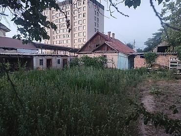 дом и сад: 6 соток — 3
