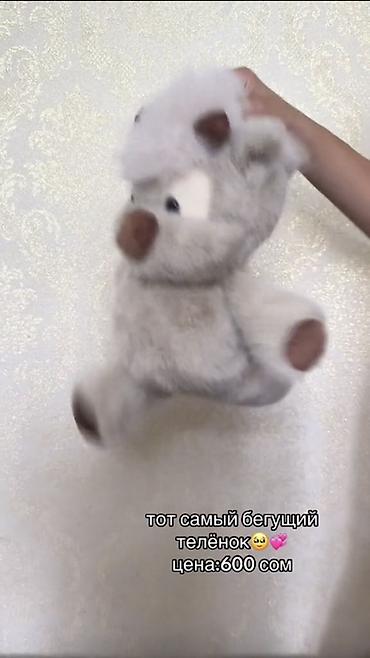 plaud note: Тот самый хит
БЕГУЩИЙ ТЕЛЁНОК🥹💞
Цена:600 сом — 3