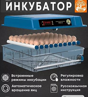 услуга инкубатор: Инкубатор на 64 куриных яйца. инструкция есть в Ютубе ряба 64. русско- — 1