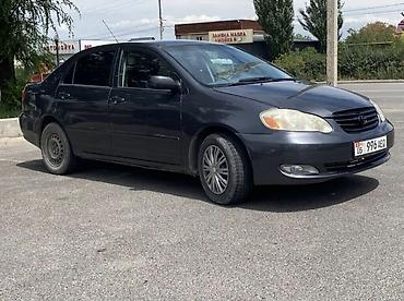 корай 5: Toyota Corolla: 2003 г., Автомат, Бензин, Седан — 2