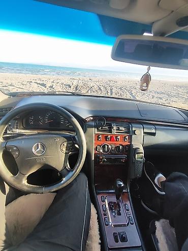 e53 amg: Mercedes-Benz E-Class: 2001 г., 2.4 л, Автомат, Бензин, Седан — 3