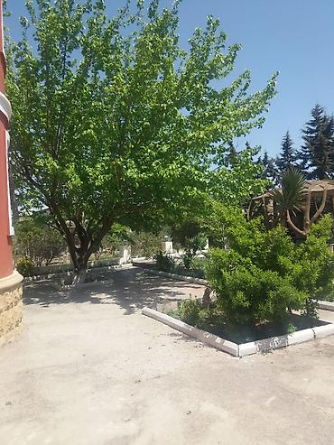 kiraye ev 20 ci sahe: Novxanı, 500 kv. m, 12 otaq, İnternet, Su, Kombi — 6