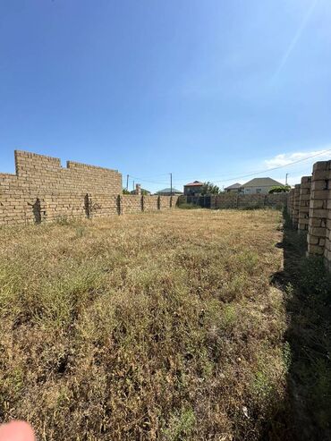 Torpaq sahələrinin satışı: 3 sot, Kənd təsərrüfatı, Mülkiyyətçi, Kupça (Çıxarış) -da lalafo.az — 3 Torpaq sahələrinin satışı: 3 sot, Kənd təsərrüfatı, Mülkiyyətçi, Kupça (Çıxarış) — 3