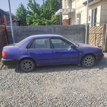 гольф 2 дизел: Toyota Corolla: 1998 г., 1.3 л, Механика, Бензин, Седан