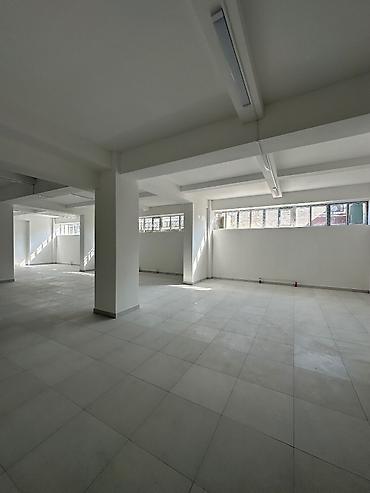 four seasons guest complex: Продажа магазинов В торговом центре, 183 м², Свежий ремонт, Отдельный вход, Цокольный этаж этаж — 9