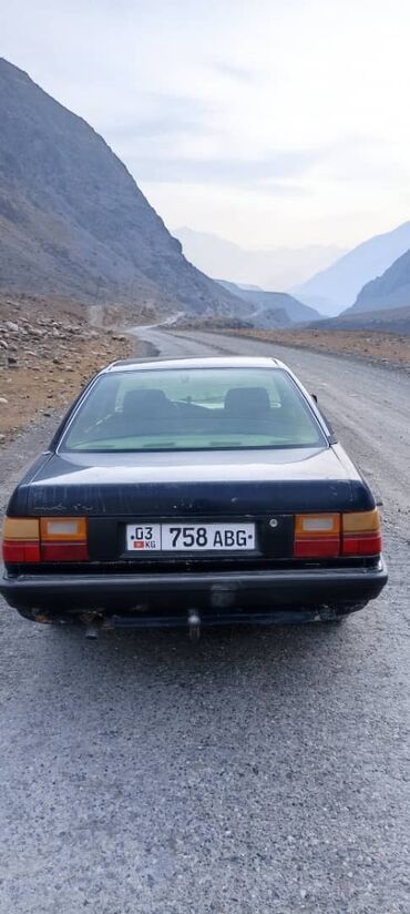 Audi: Audi 100: 1989 г., 1.8 л, Механика, Бензин