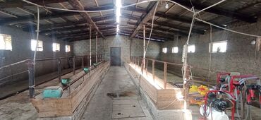 Продажа домов: Дом, 1000 м², 2 комнаты, Собственник, Старый ремонт — 6