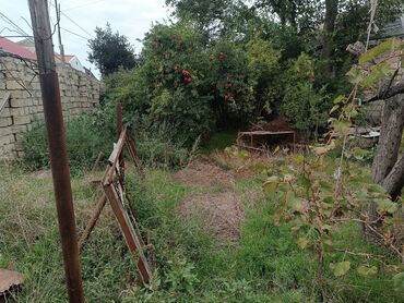 Torpaq sahələrinin satışı: 2 sot, Biznes üçün, Mülkiyyətçi — 9