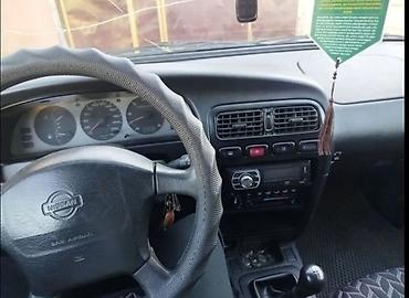 e53 amg: Nissan Primera: 1996 г., 1.6 л — 1