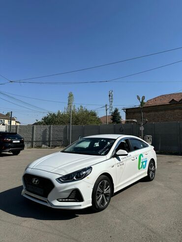 купить диск на 16 бу: Hyundai Sonata: 2019 г., 2 л, Автомат, Газ, Седан