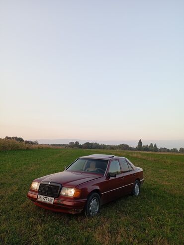 купить машину до 4000 долларов: Mercedes-Benz W124: 1989 г., 2.3 л, Механика, Бензин