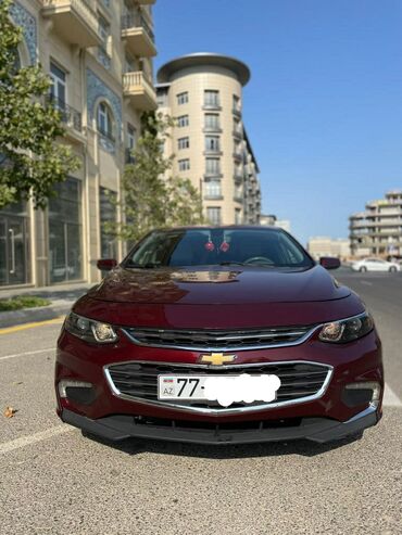 sevralit malibu: Chevrolet Malibu: 1.5 l. | 2016 il | 22000 km. | Sedan