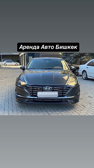 хендай солярис аренда: Сдаю Hyundai Sonata, Почасово, Без водителя — 1