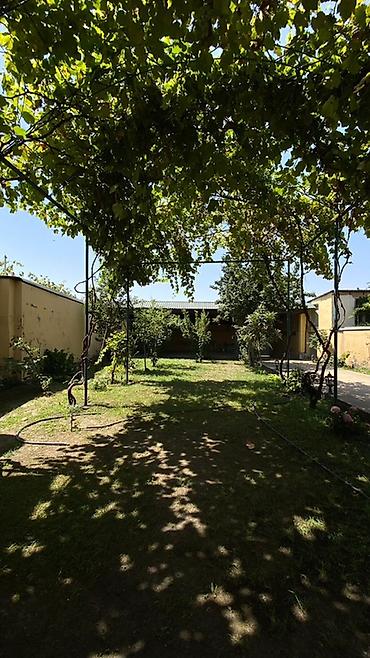 Həyət evləri və villaların satışı: 2 otaqlı, 83 kv. m -da lalafo.az — 56 Həyət evləri və villaların satışı: 2 otaqlı, 83 kv. m — 56