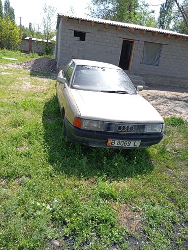 ауди а6 квадро: Audi 80: 1987 г., 1.8 л, Механика, Бензин, Седан