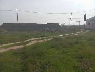 sut satisi: 6 sot, Kənd təsərrüfatı, Maklerlər narahat etməsin, Kupça (Çıxarış) — 2