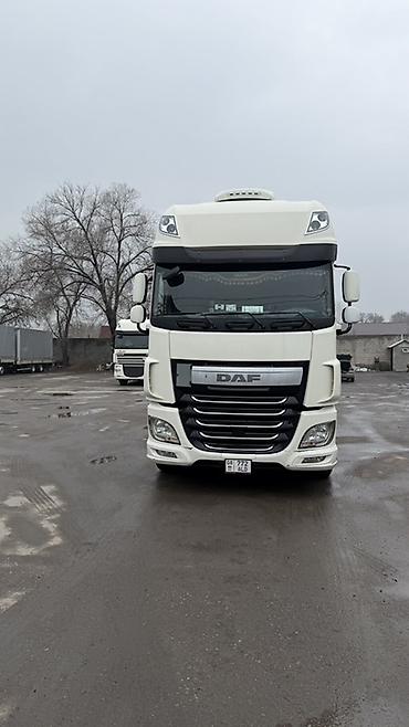 Грузовики: Грузовик, DAF — 1