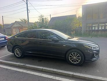 skoda rapid 2012: Hyundai Sonata: 2019 г., 2 л, Автомат, Газ, Седан — 7