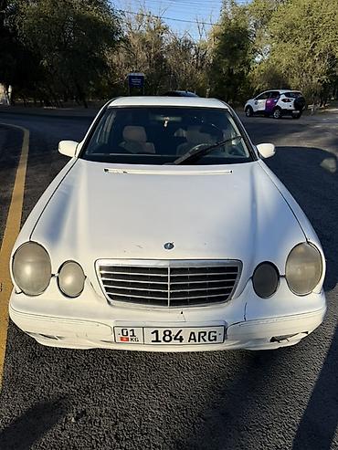 купить w210: Mercedes-Benz E-Class: 2000 г., 2.9 л, Механика, Дизель, Седан — 2
