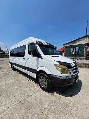 Mercedes-Benz: Mercedes-Benz Спринтер: 2007 г., Бус — 2