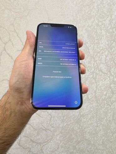 Apple iPhone: IPhone 13 Pro Max, 128 GB, Sierra Blue — 10